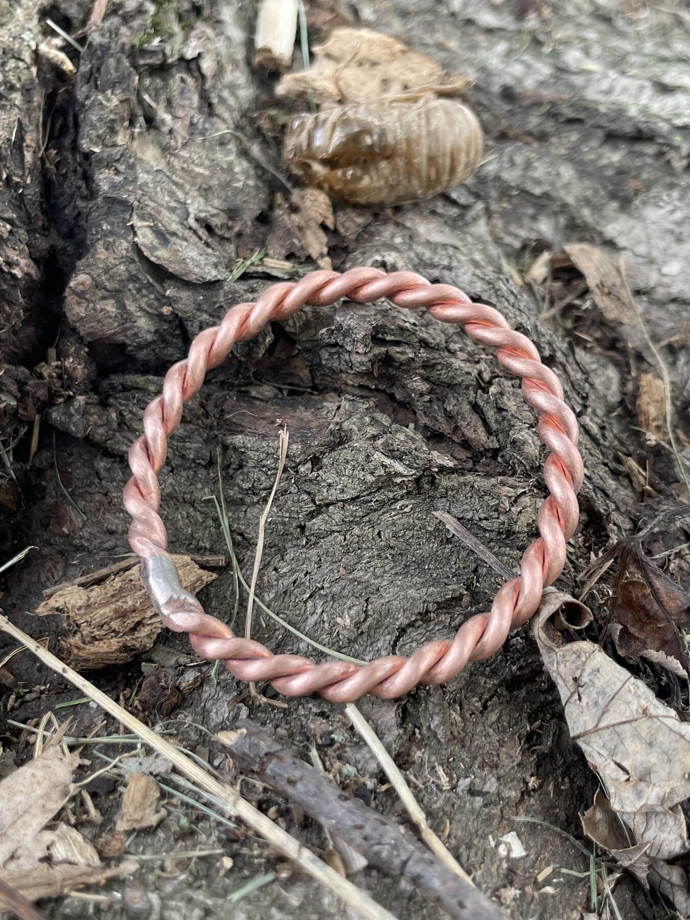Twisted copper ring component photographed on tree bark