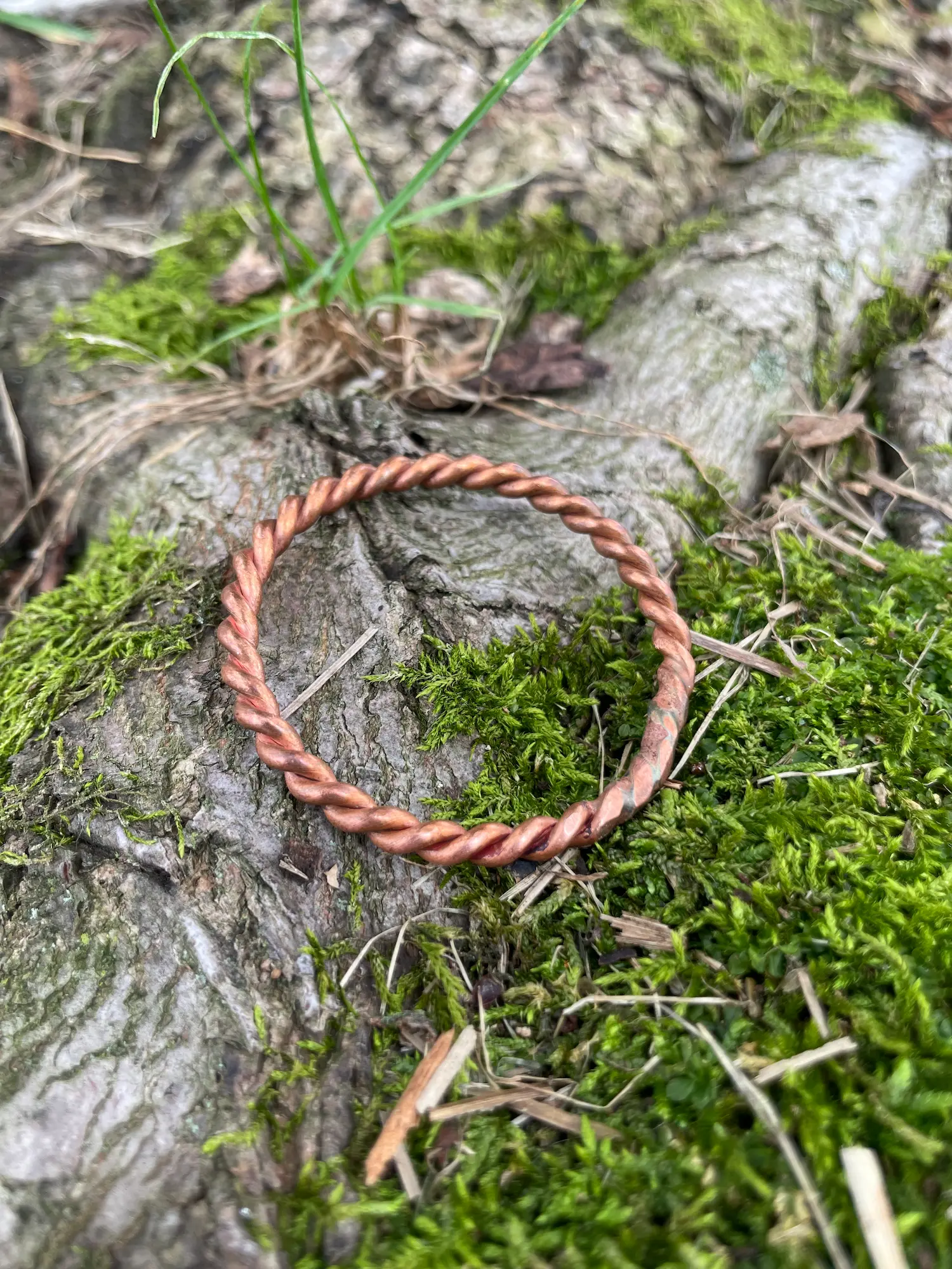 Twisted copper Halo Hanger ring photographed on mossy tree bark
