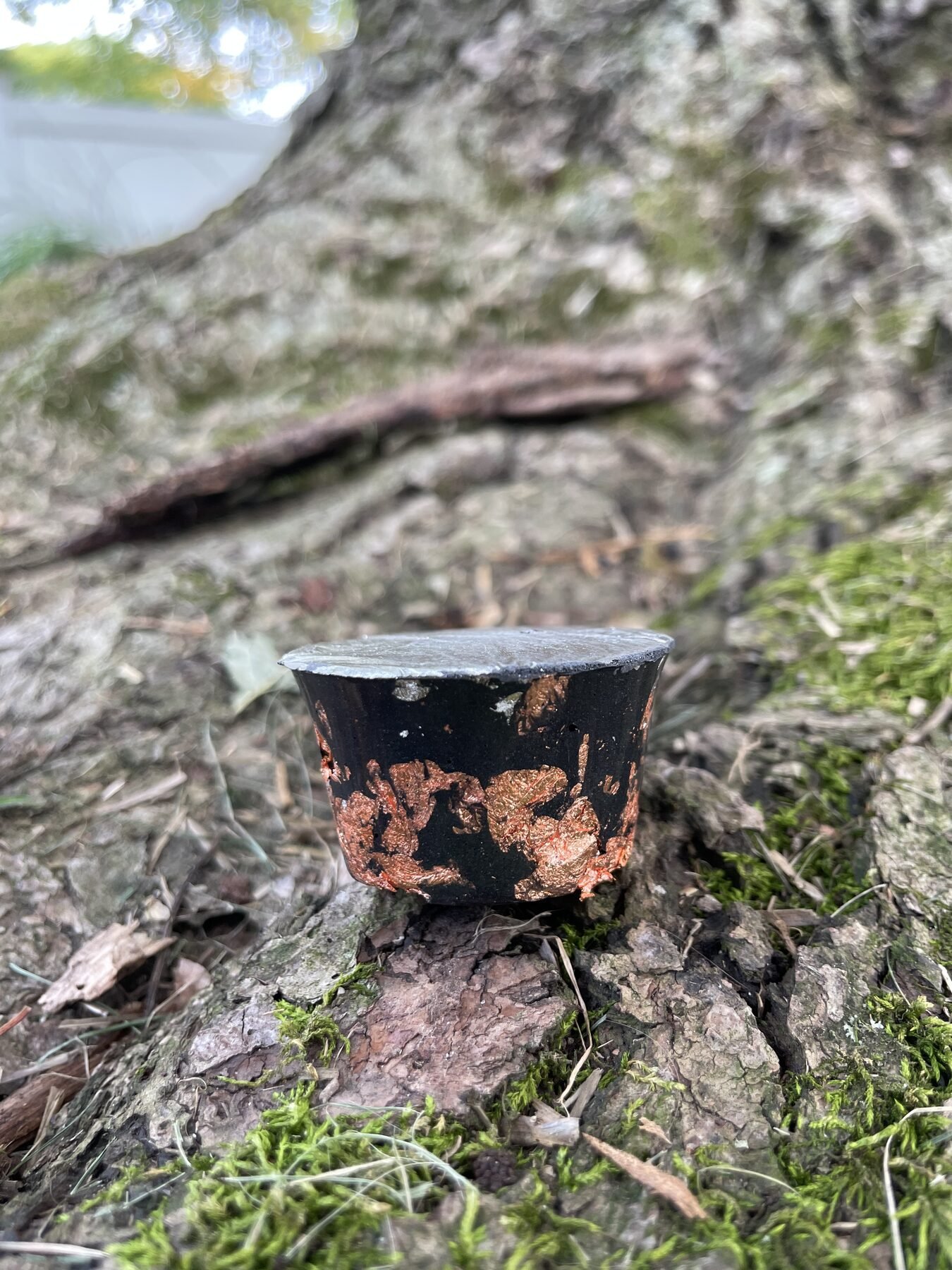 Single silver-topped Peace Puck with copper inclusions photographed against tree bark